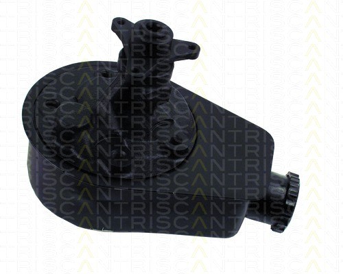 Servopumpe TRISCAN für Renault Megane I 1.6e 