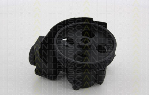 Servopumpe TRISCAN für Citroën Xsara Picasso 2.0 HDi 