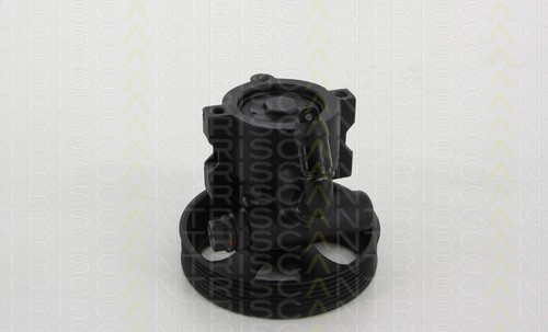 Servopumpe TRISCAN für Peugeot 306 Schrägheck 1.9 D 