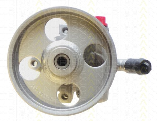 Servopumpe TRISCAN für Citroën Xsara 1.9 TD 