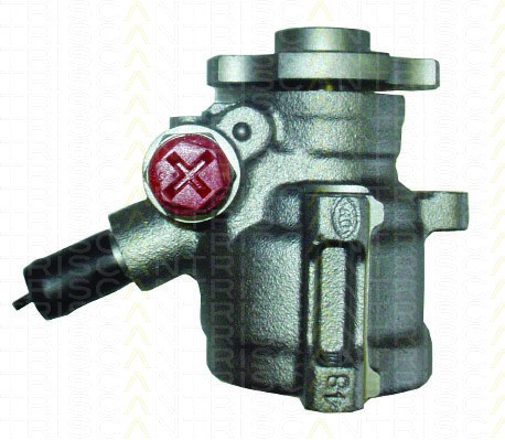 Servopumpe TRISCAN für Peugeot 305 II Break 1.9 