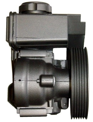 Servopumpe Hydraulikpumpe Citroen Berlingo/Xsara und Peugeot 206/Partner Hersteller Saginaw 