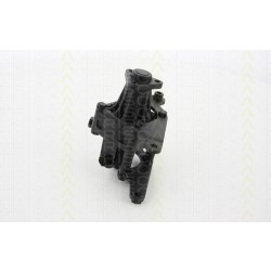 Servopumpe TRISCAN für BMW 5er 530i 