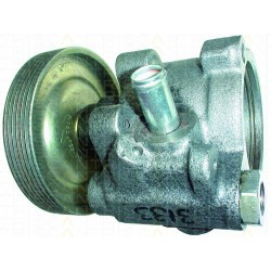 Servopumpe TRISCAN für Renault 19 I 1.7 
