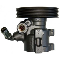Servopumpe Citroen Xsara (N1,N2), Peugeot 306 (7) Hersteller SAGINAW 