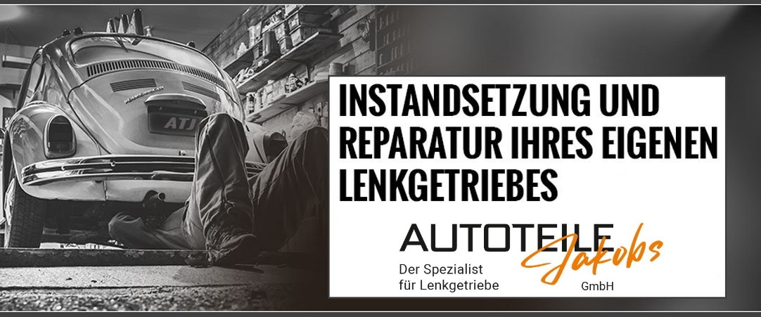 Reparatur Lenkgetriebe